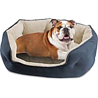 Canine Creations Blue Oval Cuddler Dog Bed
