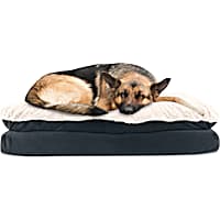 Canine Creations Blue Rectangle Dog Bed