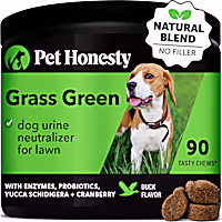 Pet Honesty Grass Green Soft Chews for Dogs