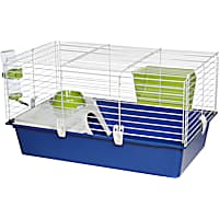 Petco guinea pig starter kit sales