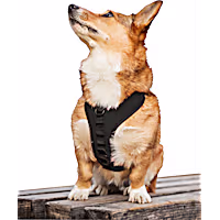 K9 Sport Sack Harness for Dogs