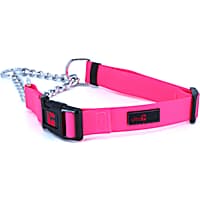 Ultrahund Play Martingale Dog Collar
