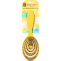 Burt's Bees for Pets Porcupine Bristle Brush for Large Dogs
