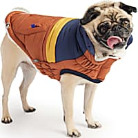 GF Pet Hazel Retro Dog Puffer