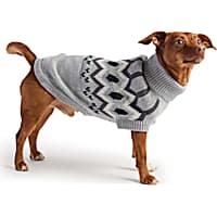 Dog sweaters near me sales