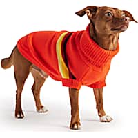GF Pet Orange Retro Dog Sweater