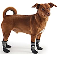 GF Pet Grey All Terrain Dog Boots