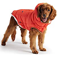 GF Pet Orange Super Puff Dog Parka