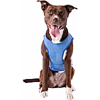 GF Pet Blue Elasto-Fit Ice Dog Vest
