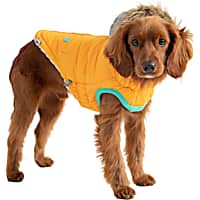GF Pet Yellow Winter Sailor Dog Parka