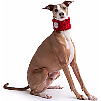 GF Pet Red Chalet Tube Dog Scarf