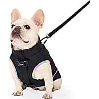 Canada Pooch Black Utility Dog Parka