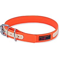 Petco light up dog collar clearance