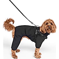 Canada Pooch Snowsuit Black