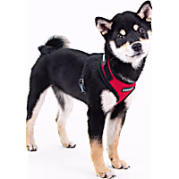 Puppia Superior Soft Dog Harness with Adjustable Neck