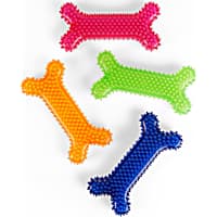 Leaps & Bounds Spiny Bone Assorted Medium Chew Toy for Dogs