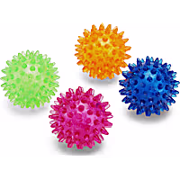 Leaps & Bounds Spiny Ball Assorted Dog Chew Toy