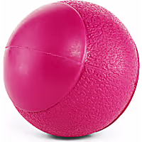 Leaps & Bounds Squeak Ball Assorted Dog Toy