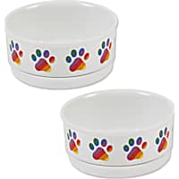 Bone Dry Rainbow Paw Pet Bowl