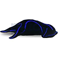 Blue Velvet Nudibranch