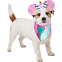RUBIES Mickey Ears Birthday for Dogs