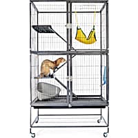EveryYay Feisty Ferret Home