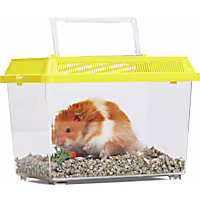 EveryYay Small Pet Carrier