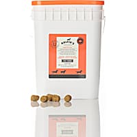 Kelcie's Pumpkin Spice Horse Treats