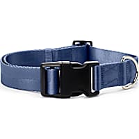 Pets First Atlanta Braves Signature Pro Collar for Dogs, Small, Petco