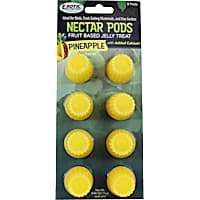 Exotic Nutrition Nectar Pods Pineapple Small Pet Treat