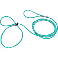Piggy Poo and Crew Teal Adjustable Pet Harness and Leash