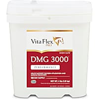 Vita Flex DMG 3000 Concentrate 128 Day Supply