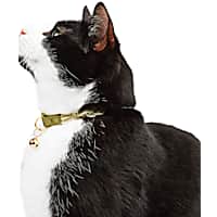 YOULY Rope Macrame Cat & Large Cat Collar