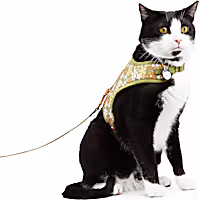 YOULY Retro Floral Cat Harness Set