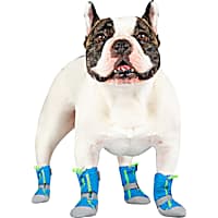 Snow boots on sale for dogs petco