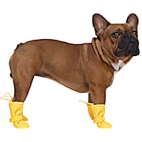 Dog swim cheap boots