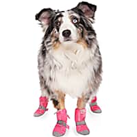 Canada Pooch Pink Dog Boots for Hot Pavement XL