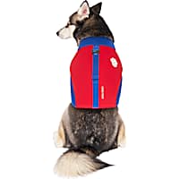 Petco mermaid cheap life jacket