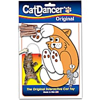 TACKDG Cat Toy Indoor for Cats Interactive Best Kitten Puzzle Toys Sel –  Kadtc Pet Supplies INC