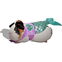 Guinea pig leash petco sales