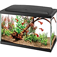20 gallon aquarium starter kit sale