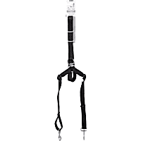Double Dog Leashes Couplers Two Dual Dog Leashes Petco