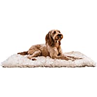 Paw Brands PupRug Portable Orthopedic Dog Bed