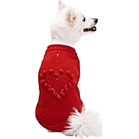 Blueberry Red Heart For Love of Pets Dog Sweater