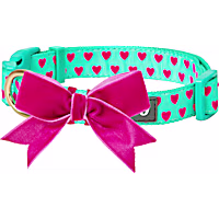 Blueberry Pet Velvety Heart Flocking Dog Collar