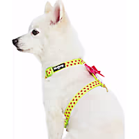 Blueberry Pet Step-in Velvety Heart Flocking Dog Harness