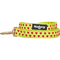 Blueberry Pet Velvety Heart Flocking Dog Leash