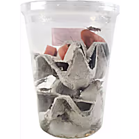 Live Insects Gutloaded Banded Cricket Cup