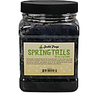 Springtail Culture