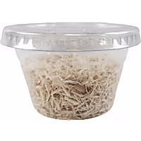 Live Insects Waxworms